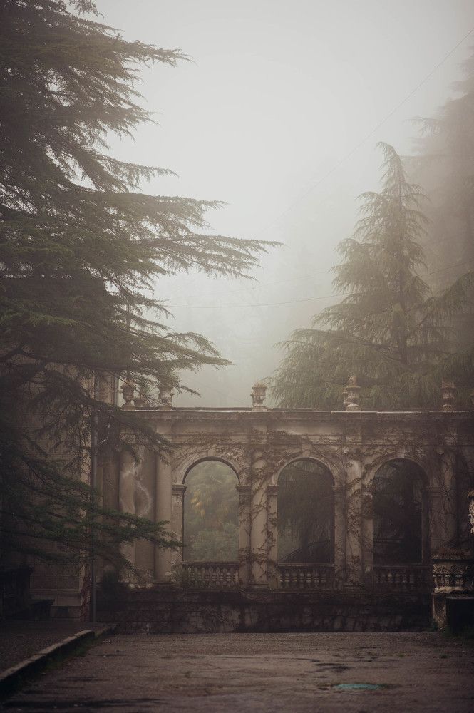 Photograph by Екатерина Соломатина