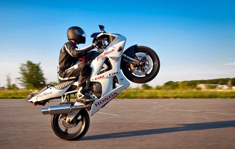 Укрощение строптивого,,.