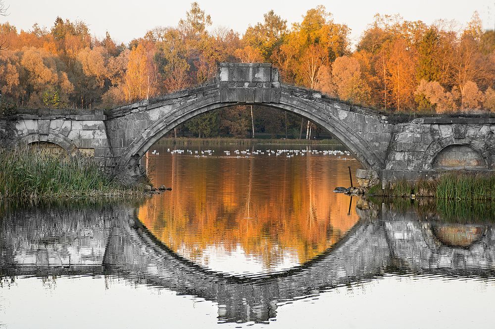 Catchina park. Humpback bridge