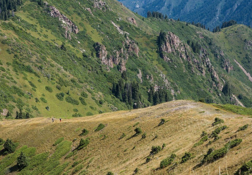 Photograph by Галина Канеева