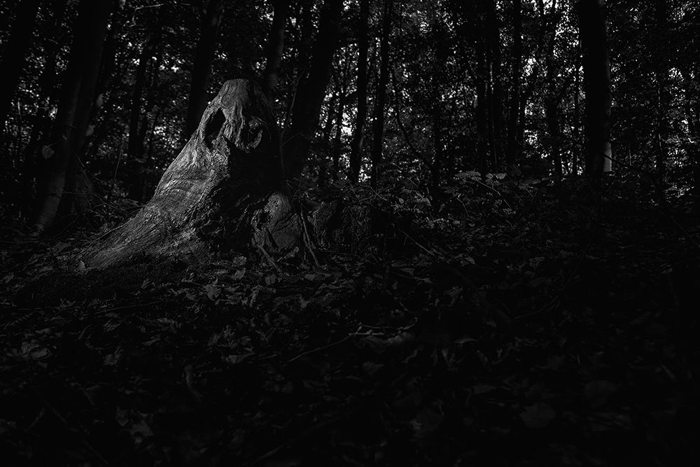 The Souls of the Woods