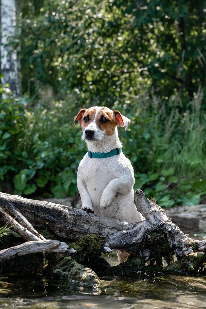 Photograph by Evgenii Pyatkov