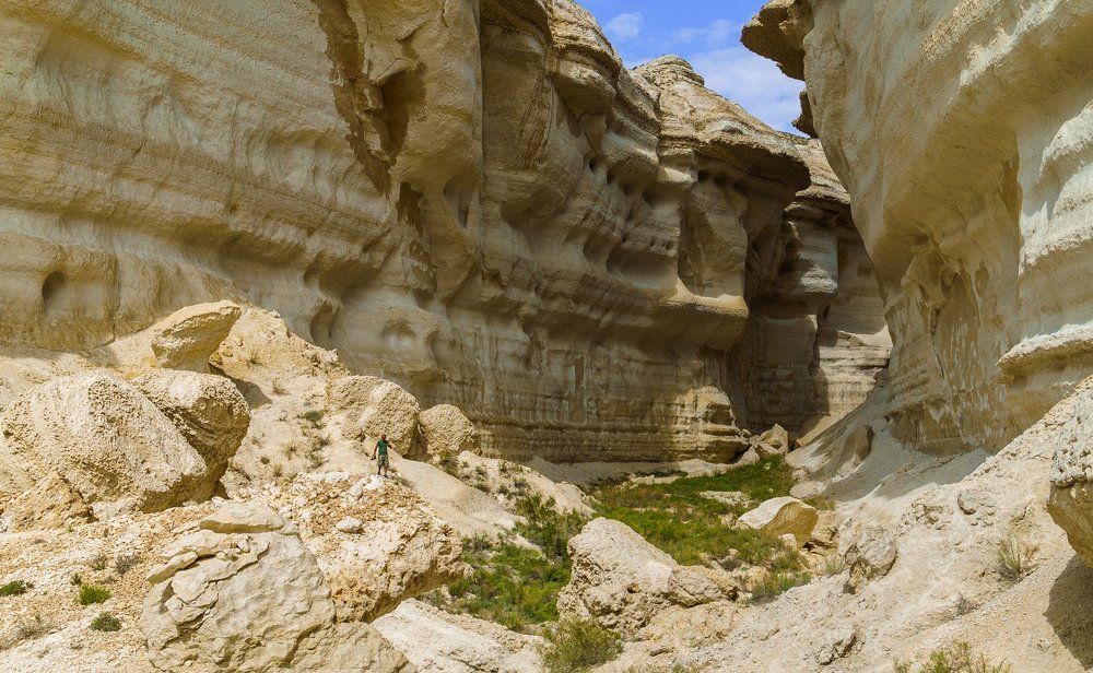 На берегу древнего моря