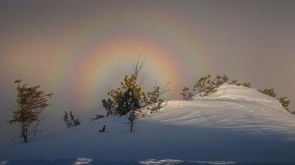Радуга в Тумане
