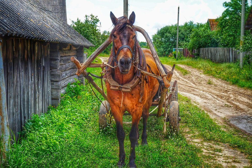 Помощник крестьянина