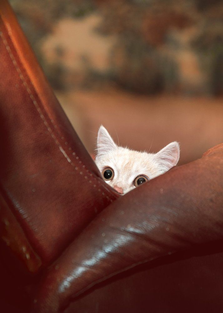 Photograph by Юлия Полянцева