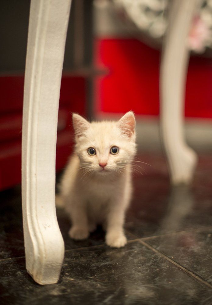 Photograph by Юлия Полянцева