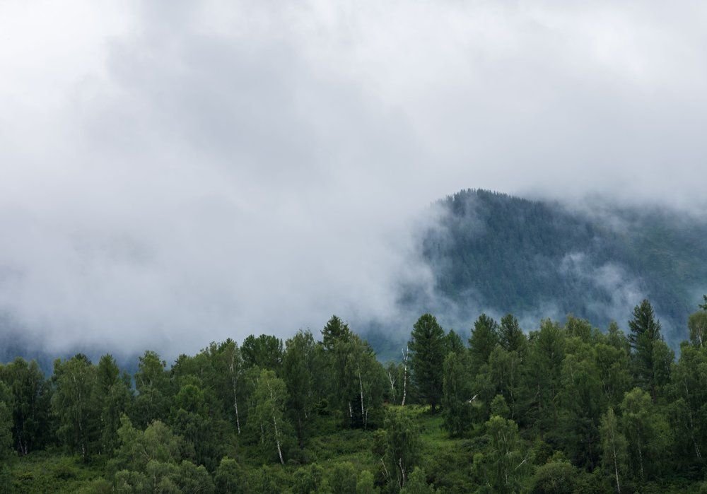 Photograph by Галина Канеева