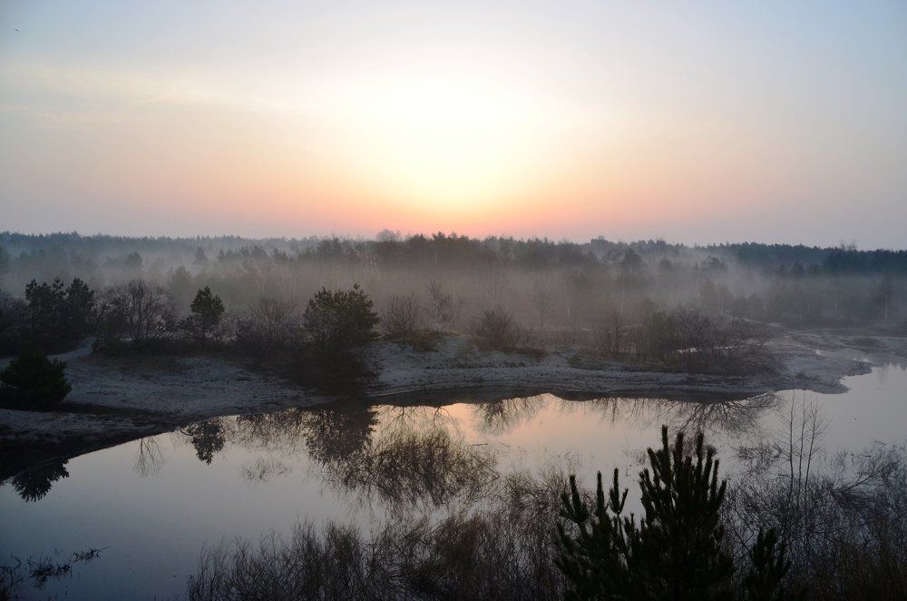 Photograph by Galina Baranovskaja