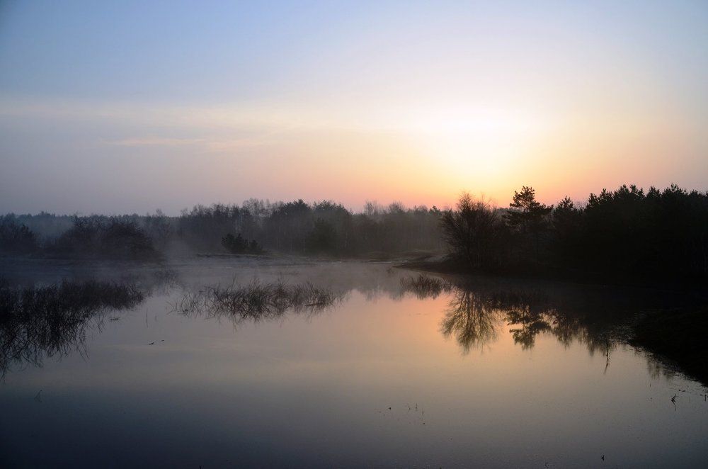 Photograph by Galina Baranovskaja