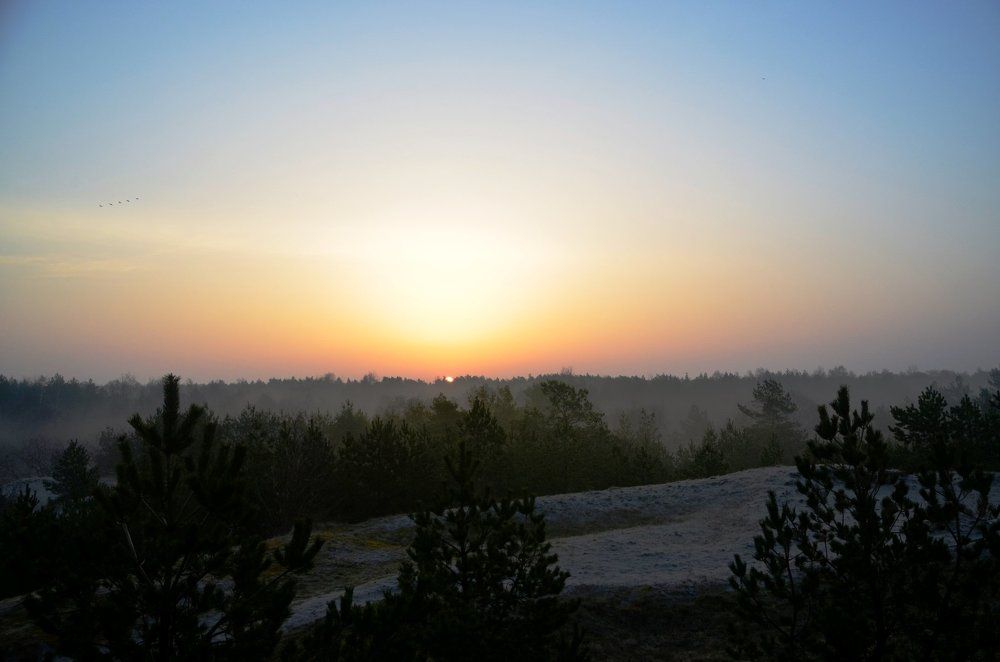 Photograph by Galina Baranovskaja