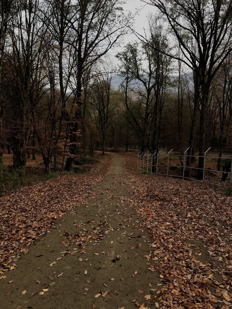 Fall