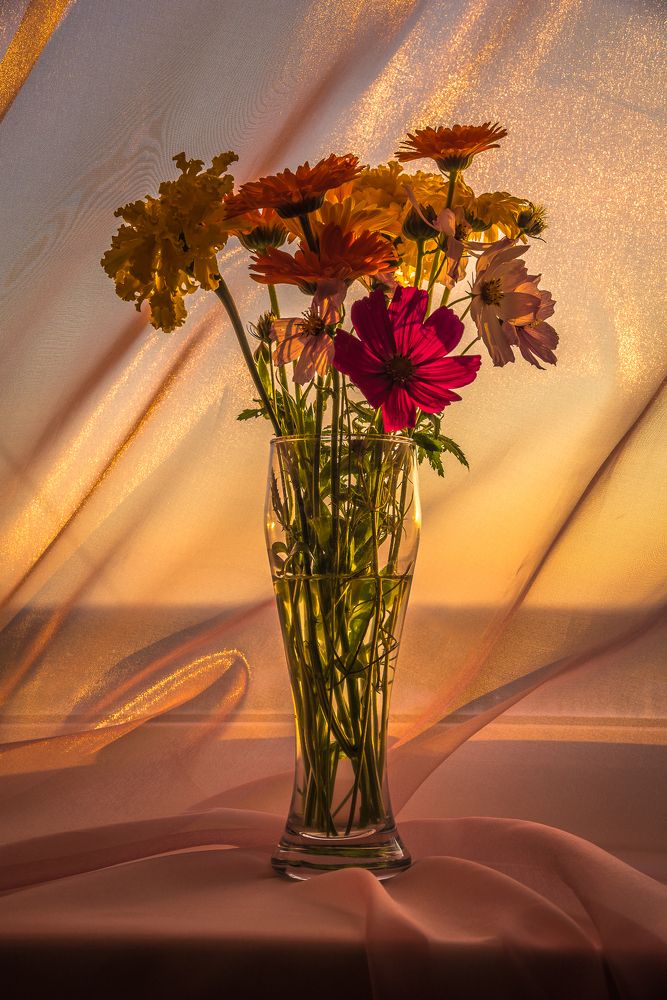 Скромный букетик. Закат