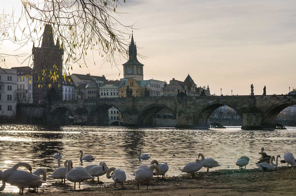 Карлов мост. Прага