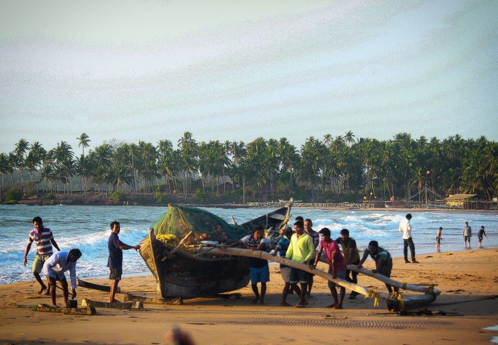 Fishermen doing their work.