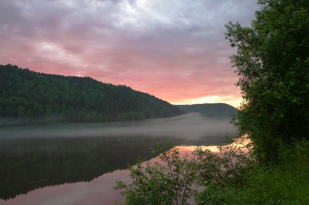 Утренний туман на реке