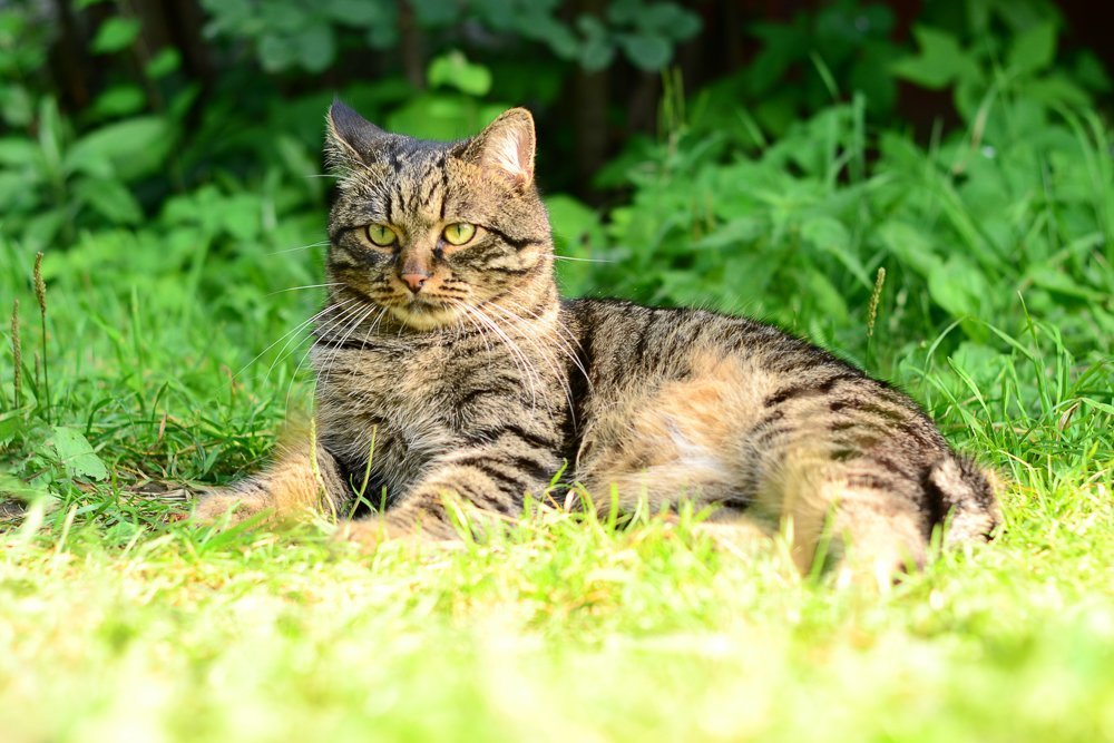 Photograph by Ульяна Александрова
