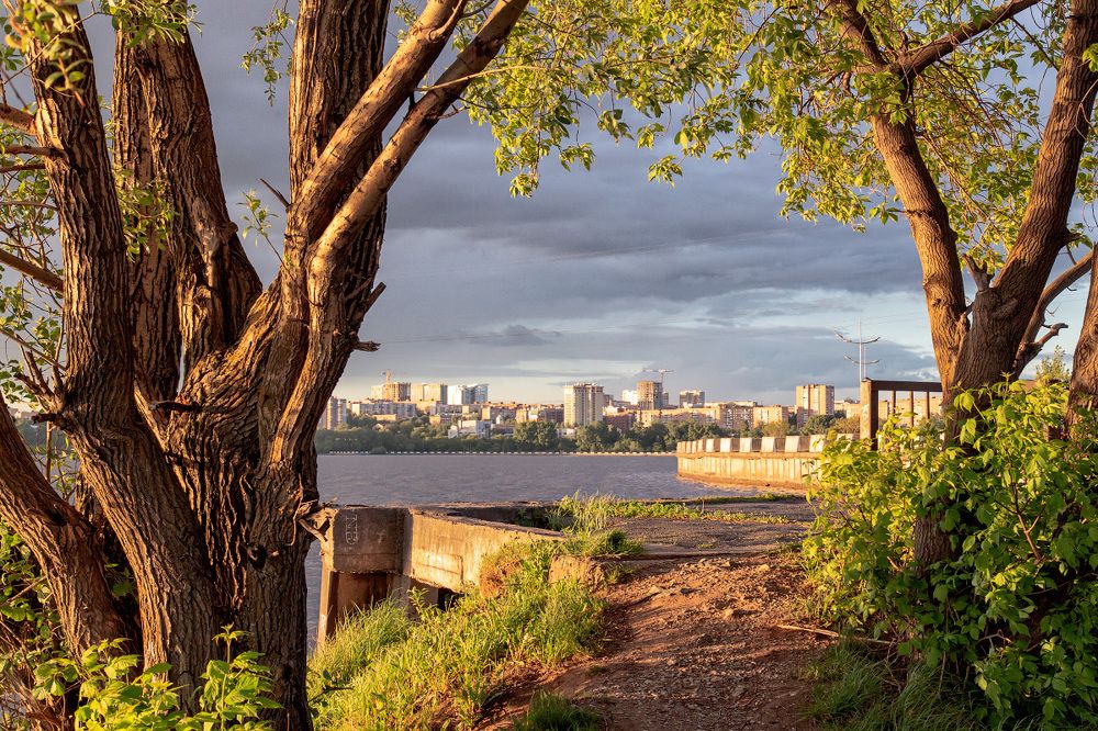 Фотография автора Леонид Никитин