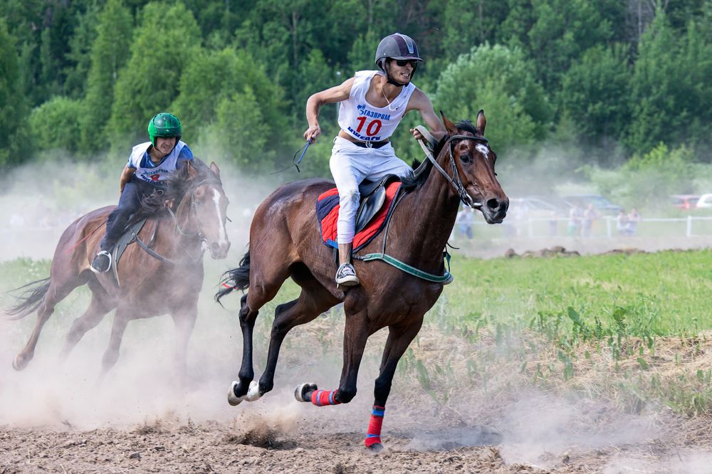 Скачки на лошадях