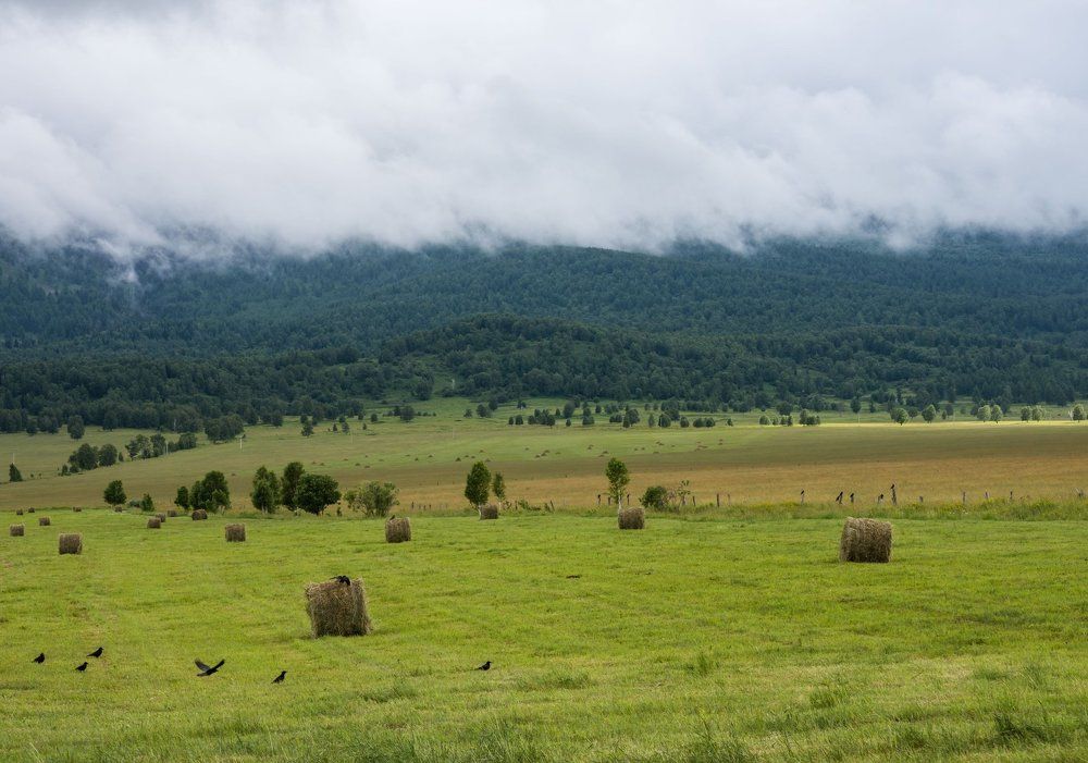 Photograph by Галина Канеева