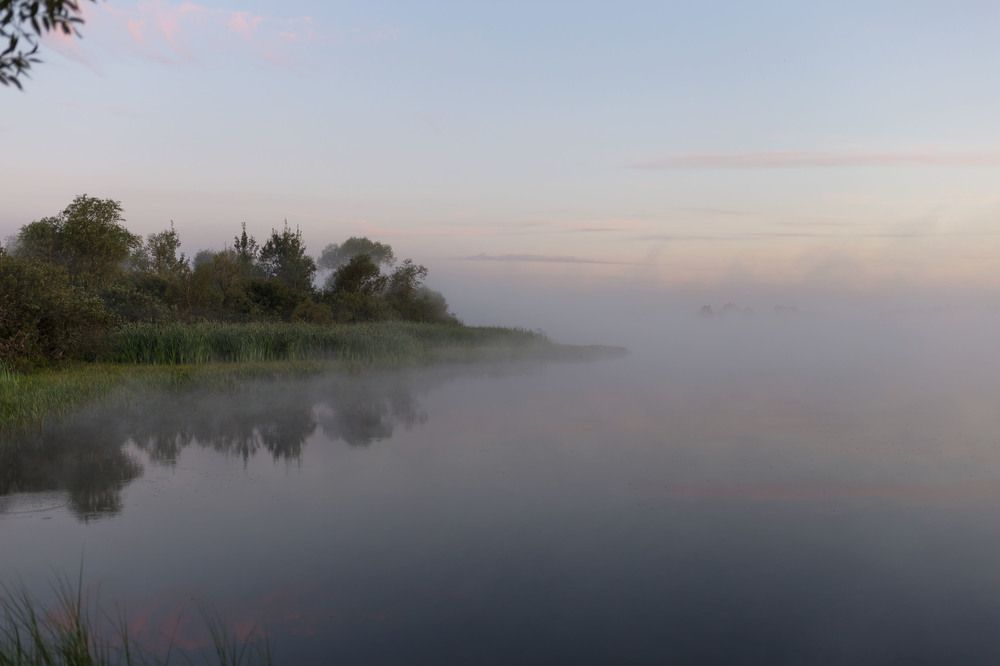 Туманное утро...