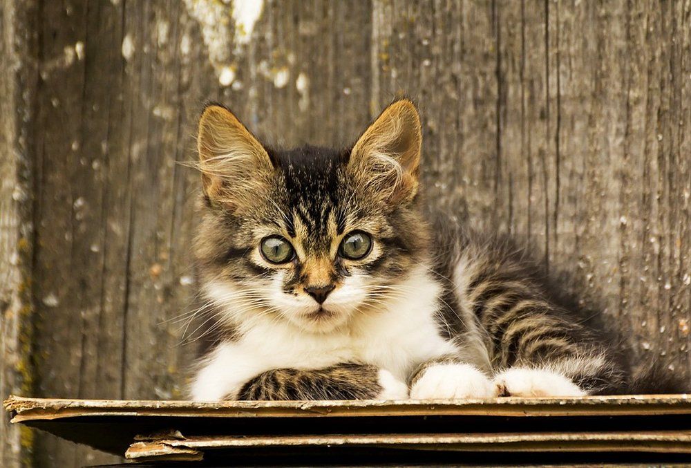 На скамеечке