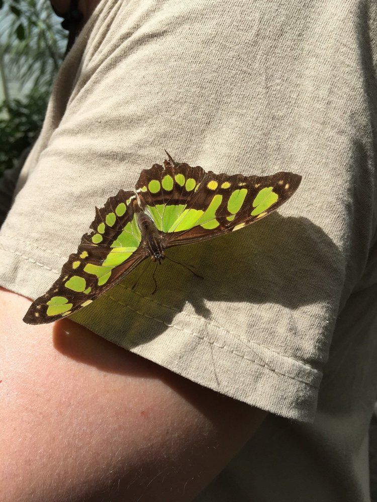 Photograph by Meier Zorica