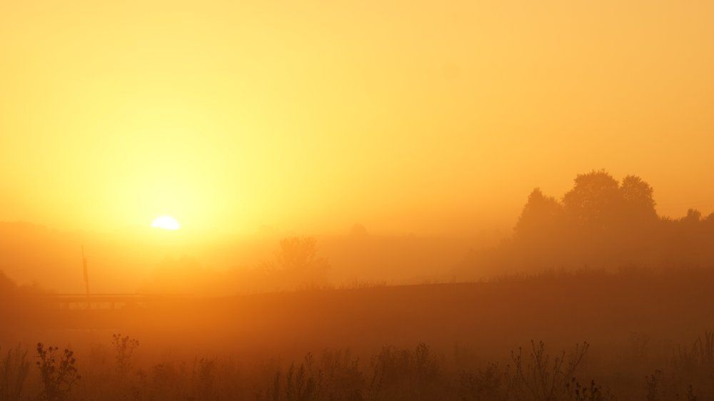 туманный рассвет