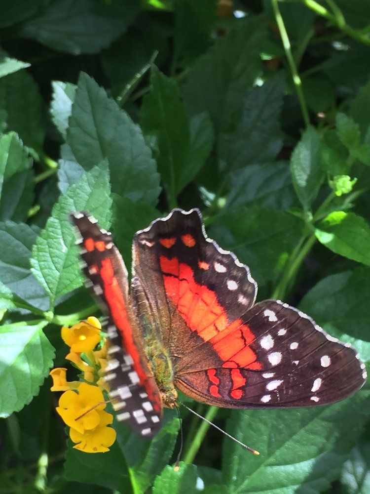 Photograph by Meier Zorica