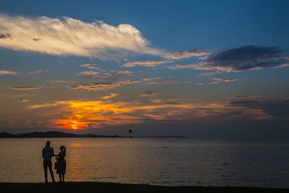 The Simple Things in Life