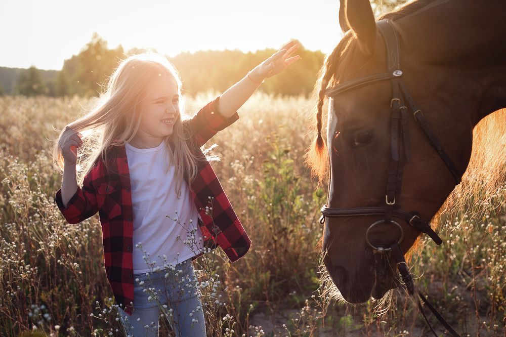 Купи лошадь!)