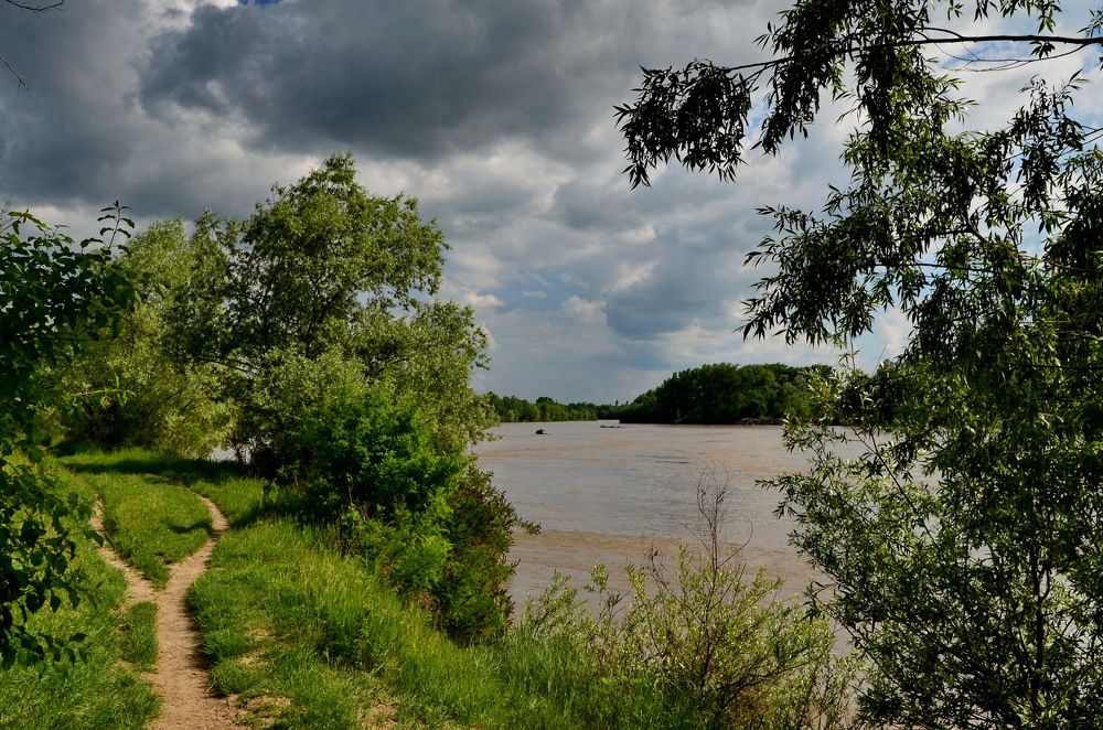 Перед грозой