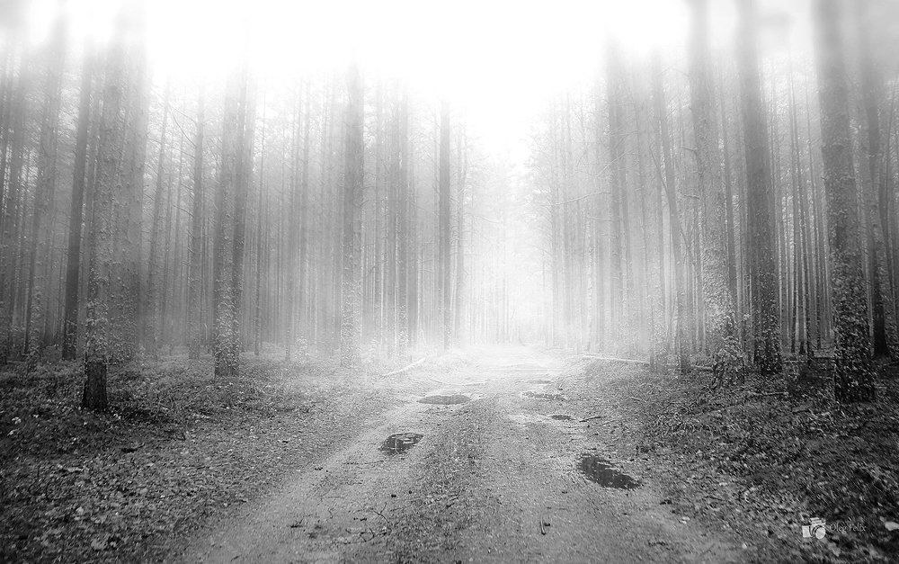 Ahead of the unknown...