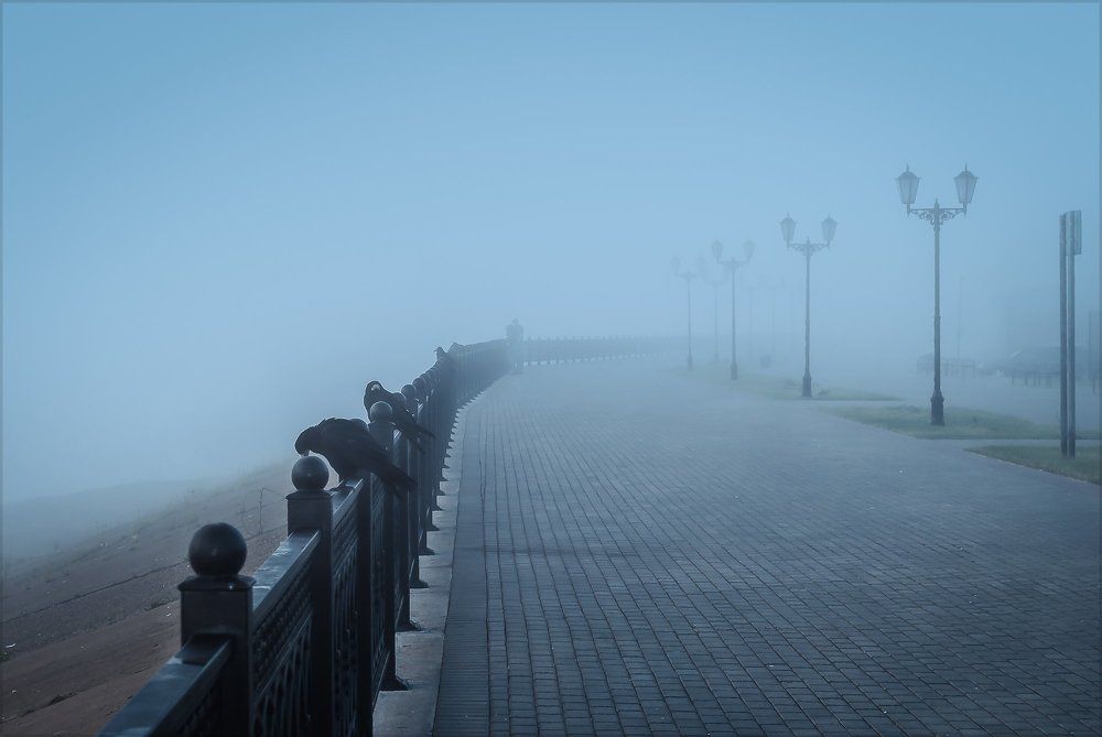 В объятии тумана