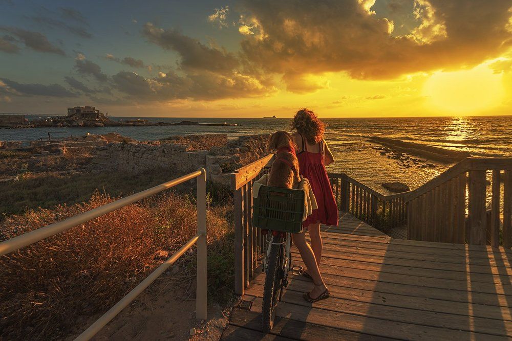 В золотисто-рыжем свете...