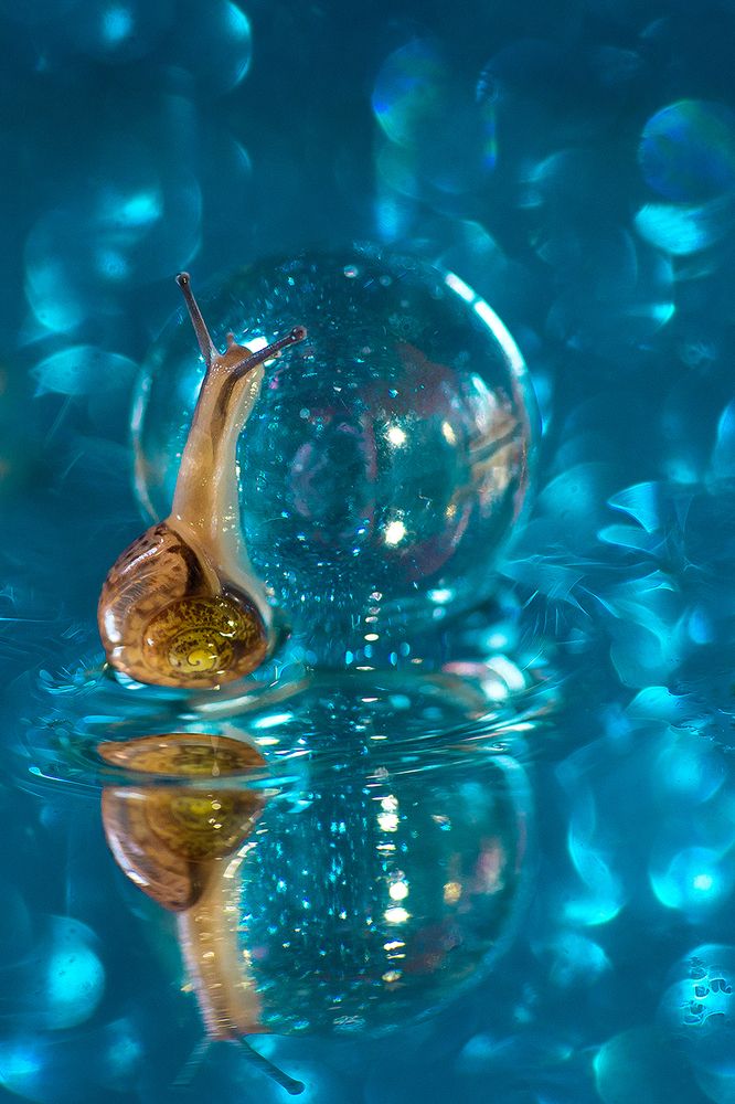 Вокруг света