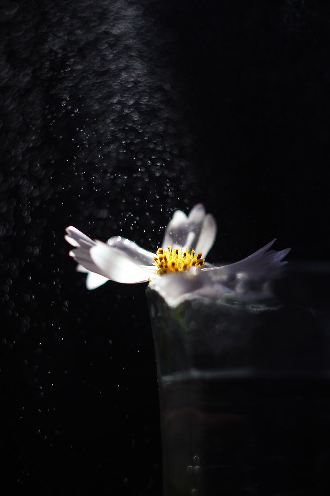 Photograph by Ольга Литвинова