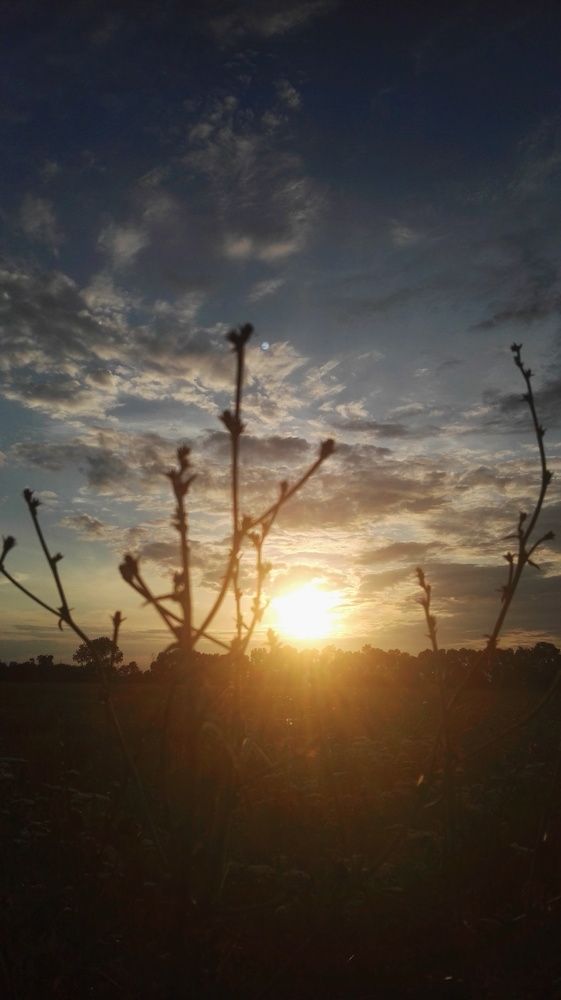 Остывало лето