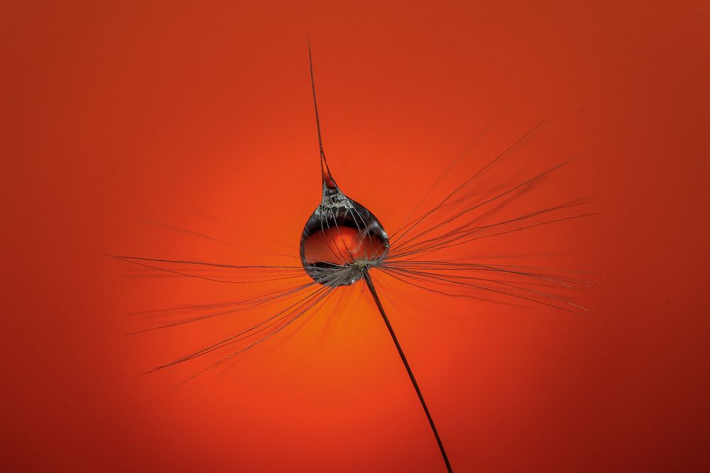 Photograph by Надежда