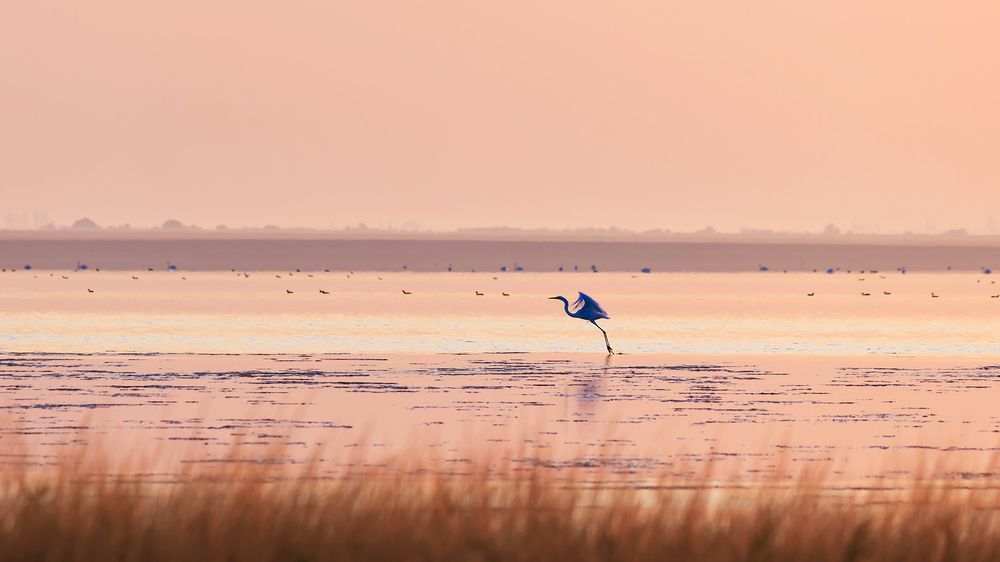 Лето улетает...