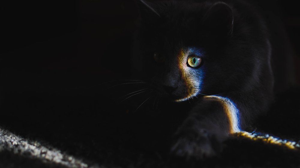 Photograph by Екатерина Ситникова