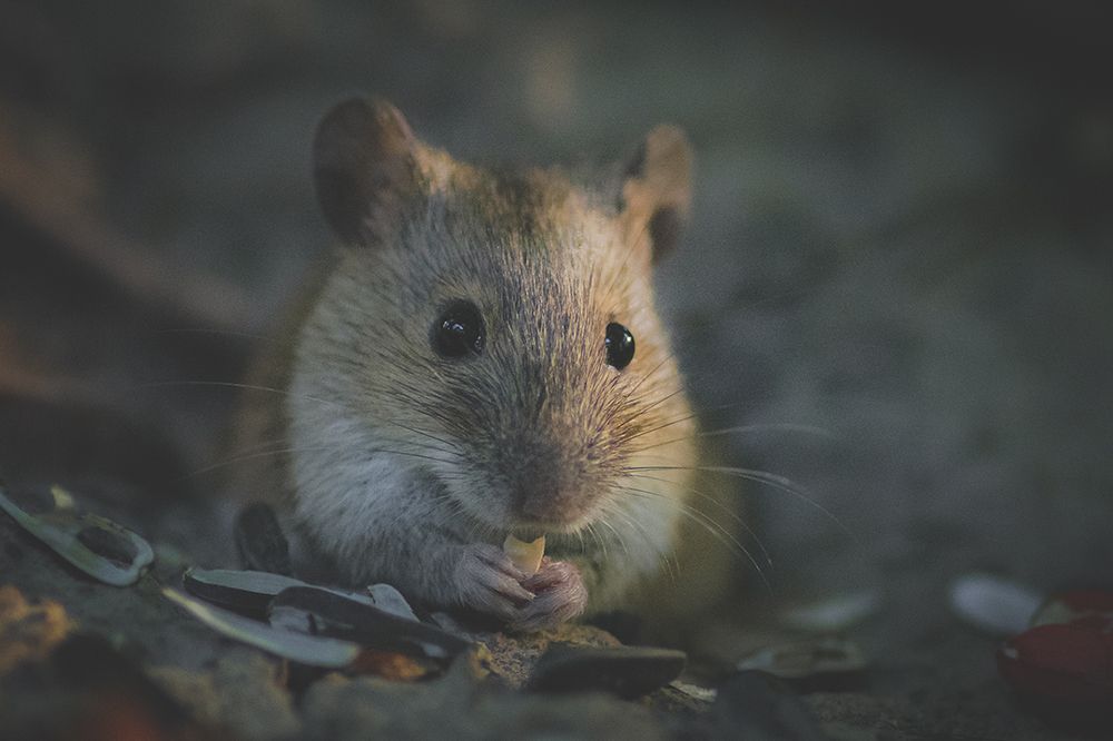 Photograph by Ольга Желтова