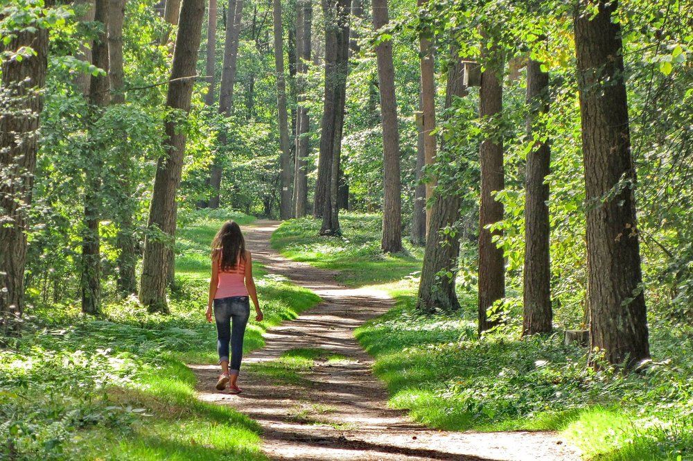 Куда уходит лето?