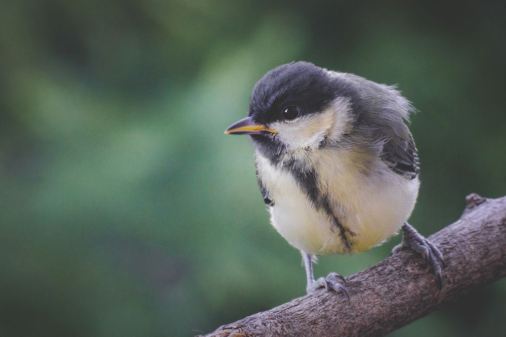 Photograph by Ольга Желтова