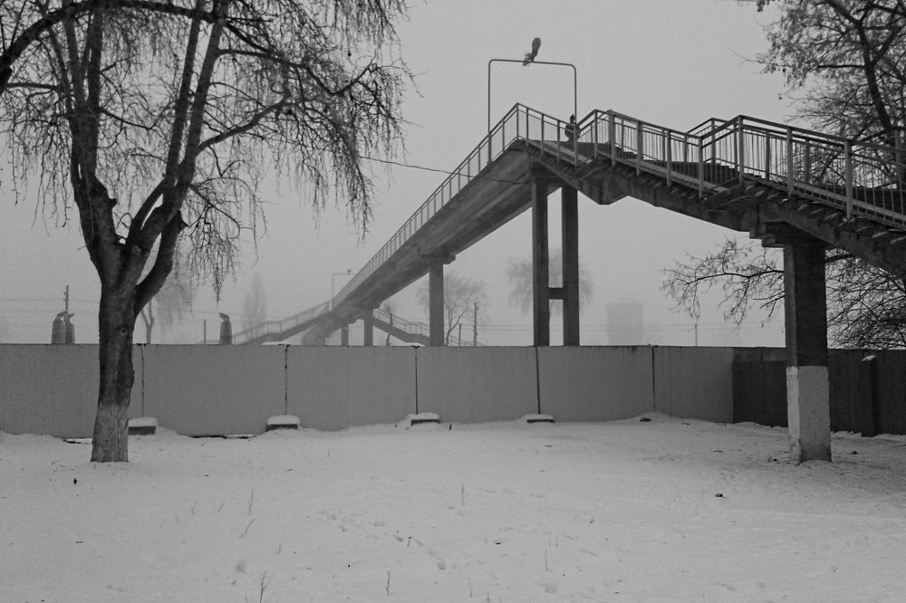 Мост в тумане