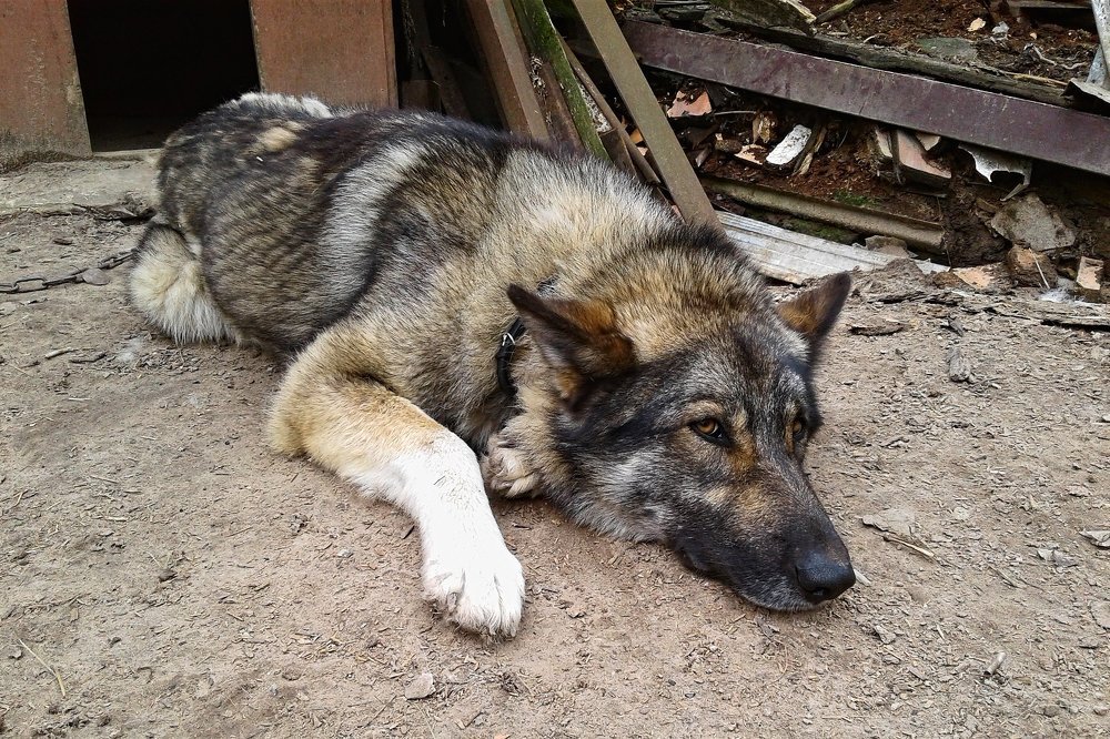 Просто устал