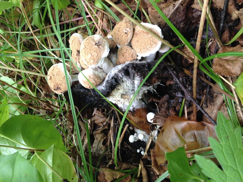 Фотография автора Оксана