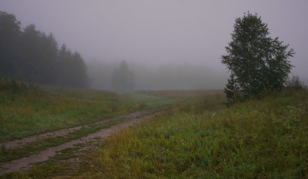 Первые признаки осени