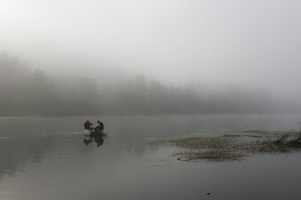 Туманная река