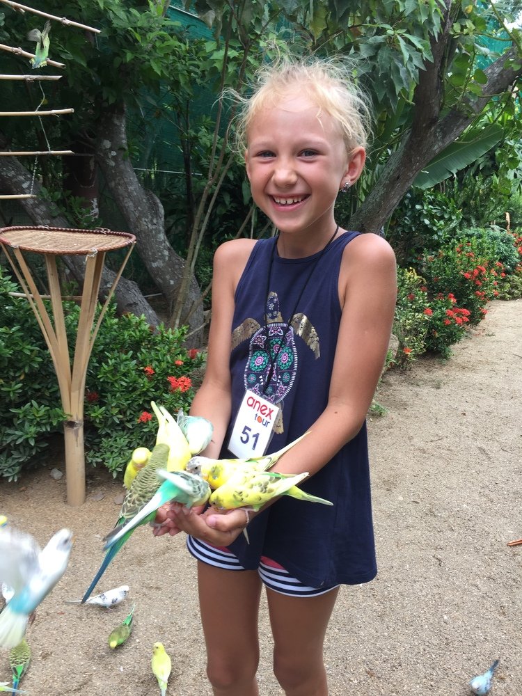 Попугайчики